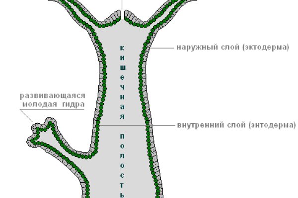 Кракен онион зеркала зеркало